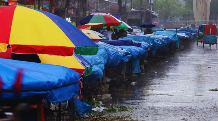 আষাঢ়ের বৃষ্টি রাজশাহীতে বদলে ফেলেছে ছক, কারণ কী?