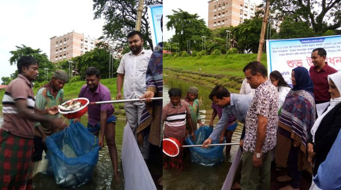 মাছের উৎপাদন বৃদ্ধির লক্ষ্যে মৎস্য চাষিদের মাঝে মাছের পোনা বিতরণ