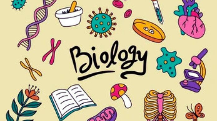 কীভাবে HSC জীববিজ্ঞান (২য় পত্র) এ ‘A+’ পেতে পারেন?