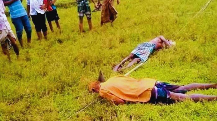 কিশোরগঞ্জে সেচপাম্পের তারে বিদ্যুৎস্পৃষ্ট হয়ে দুই কৃষকের মৃত্যু