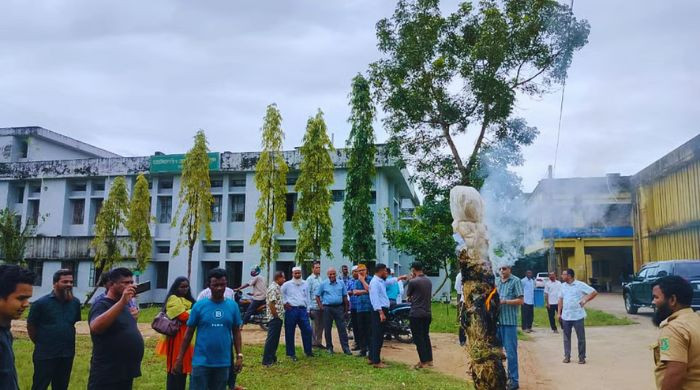 হবিগঞ্জ কৃষি বিশ্ববিদ্যালয়ে বৃক্ষরোপণ কর্মসূচি অনুষ্ঠিত