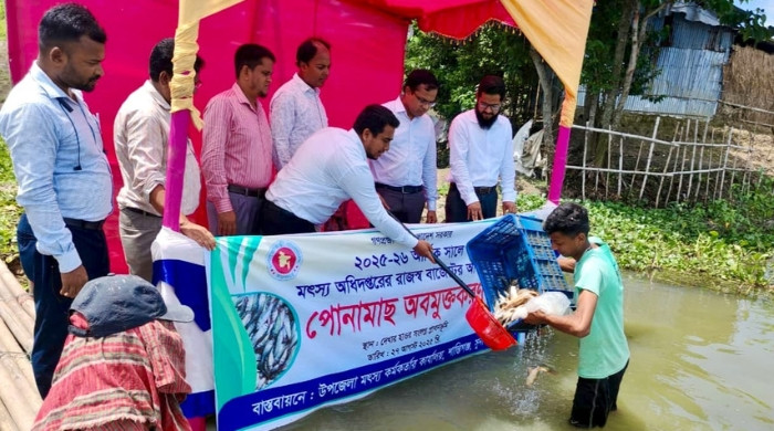শান্তিগঞ্জে রাজস্ব বাজেটের আওতায় পোনামাছ অবমুক্ত