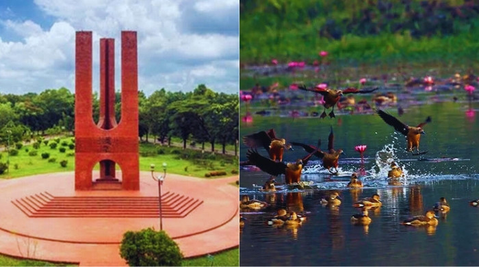 রক্তক্ষয়ী অতীত থেকে শিক্ষার্থীর আস্থা, জাহাঙ্গীরনগরে শিবিরের পুনরুত্থান