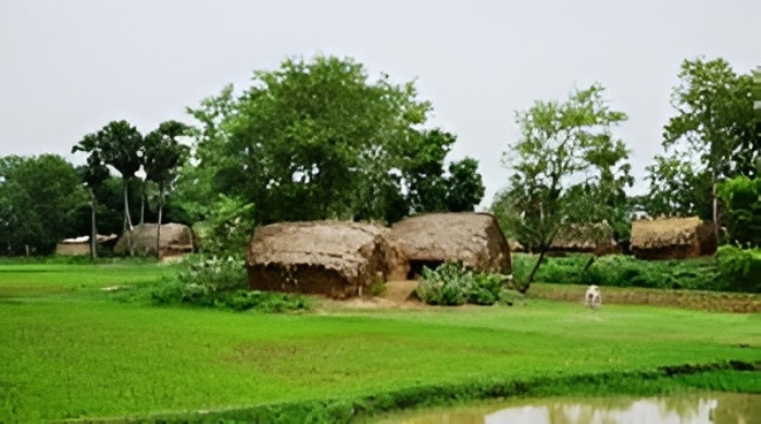 সর্ববৃহৎ কৃষি খামারে কাটানো একটি স্বর্ণালি দিন