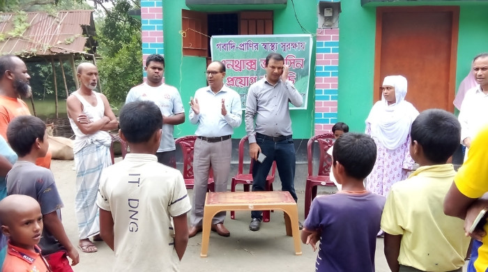 রাজারহাটে অ্যানথ্রাক্স ঠেকাতে গবাদিপশুতে টিকা ও সচেতনতামূলক কর্মসূচি