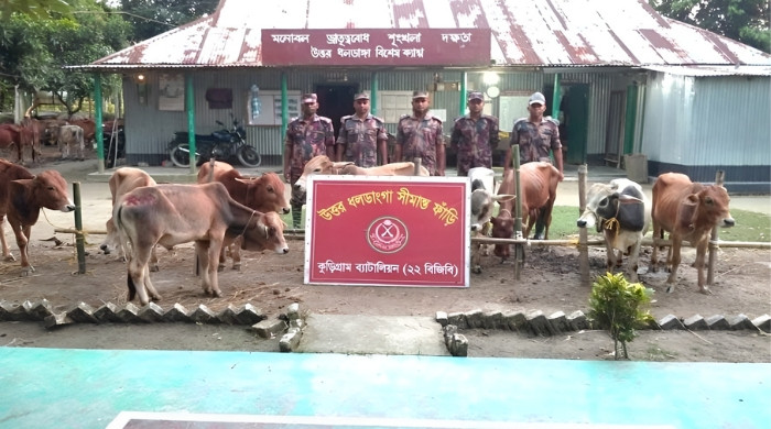 সীমান্তে নজরদারিতে কঠোর বিজিবি, বিপুল ভারতীয় পণ্য আটক