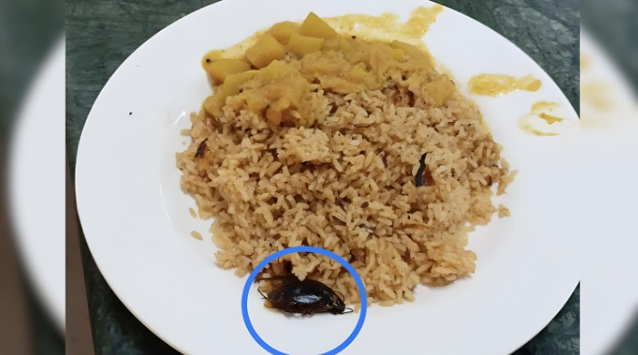 কুবির ক্যাফেটেরিয়ার খাবারে তেলাপোকা, শিক্ষার্থীর অভিযোগে তোলপাড়