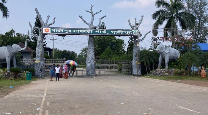 নীলগাই প্রজননে সাফল্য, গাজীপুর সাফারি পার্কে জন্ম নিল দুই শাবক