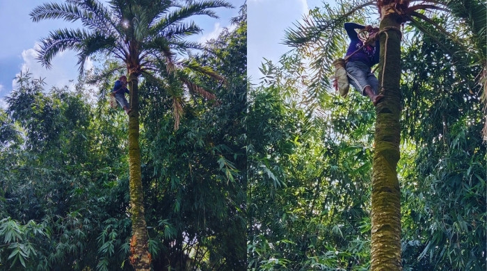 “রস-গুড়ের মৌসুমে মুখরিত গ্রাম, শীতের সঙ্গে ফিরে এসেছে ঐতিহ্য”