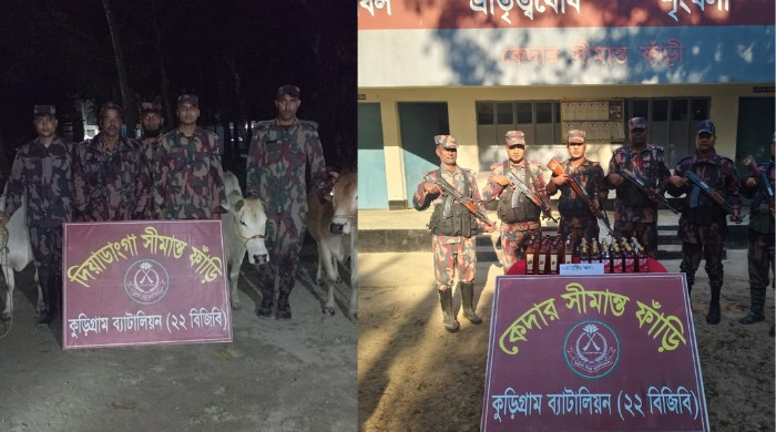কুড়িগ্রামে বিশেষ অভিযানে গরু–মদ জব্দ
