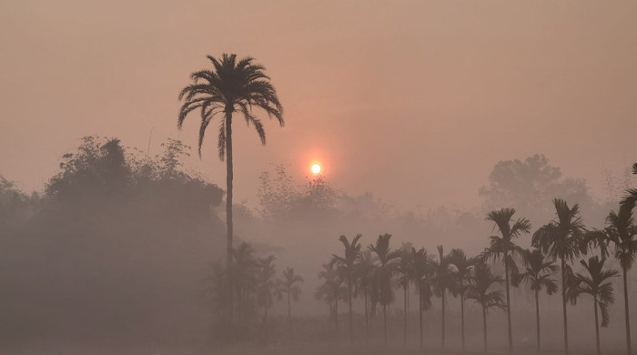 হেমন্তের সকালে কুয়াশার চাদরে মোড়ানো কুড়িগ্রামের জনপদ