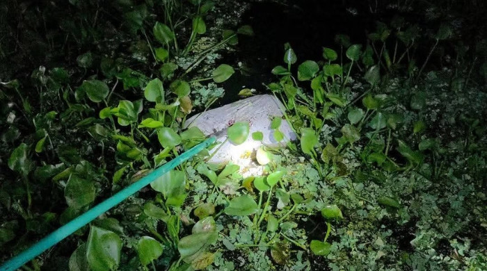 গোপালগঞ্জের মুকসুদপুরে জলাশয় থেকে অন্তঃসত্ত্বা গৃহবধূর বস্তাবন্দি মরদেহ উদ্ধার