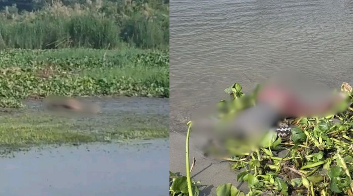 গজারিয়ায় পৃথক স্থানে নারী পুরুষের লাশ উদ্ধার