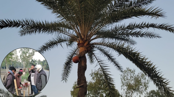 খেজুরের খাঁটি রস বিক্রি করেই সংসার চালাচ্ছেন গাছি ইদ্রিস আলী