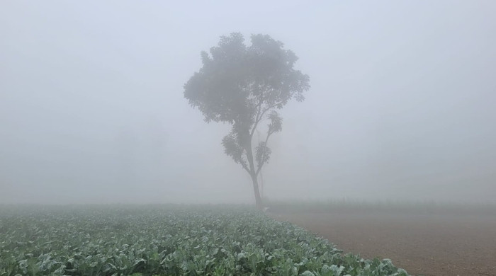কুড়িগ্রামে ‌বে‌ড়েছে শী‌তের তীব্রতা, তাপমাত্রা ১২ ডিগ্রি