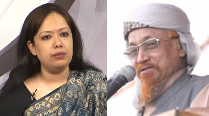 আশার জ্বরে কপাল পুড়ল রুমিন ফারহানার