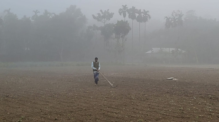 হিমেল কুয়াশায় স্থবির কুড়িগ্রাম, চরাঞ্চলে মানবিক বিপর্যয়ে হাজারও মানুষ