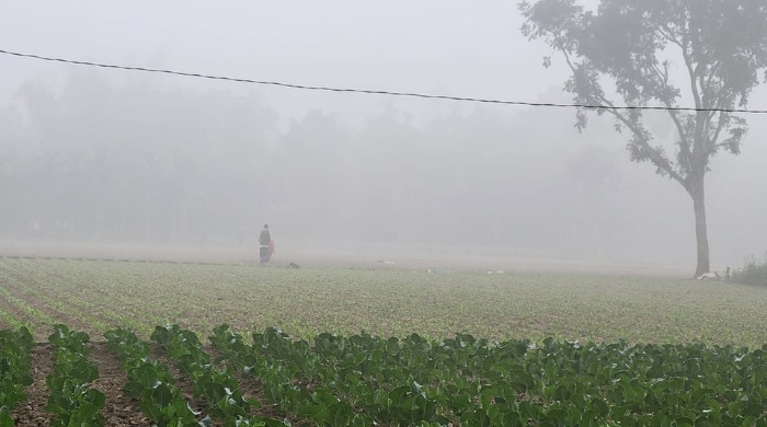 কুড়িগ্রামে টানা পৌষের ঠান্ডায় স্থবির জনজীবন, তাপমাত্রা ১১.২°সেলসিয়াস