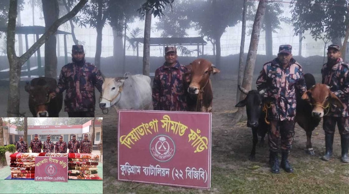 কুড়িগ্রামে বিজিবির অভিযানে বিপুল মাদক ও পণ্য জব্দ