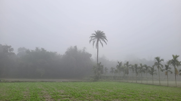 দেশজুড়ে অব্যাহত শীত, আরও কমতে পারে তাপমাত্রা