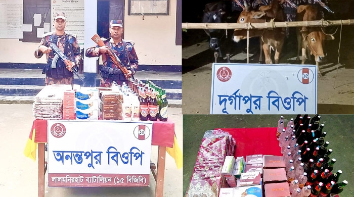 বিজিবির পৃথক অভিযানে ভারতীয় গরু, শাড়ি ও মদ এবং বিপুল পরিমাণ ঔষধ জব্দ