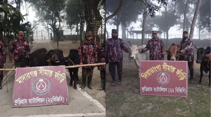 কুড়িগ্রাম সীমান্তে ২৯ লাখ টাকার ভারতীয় গরুসহ চোরাচালান পণ্য জব্দ