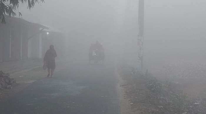 সূর্যের দেখা নেই টানা ২ দিন, শীতে কাঁপছে চুয়াডাঙ্গা