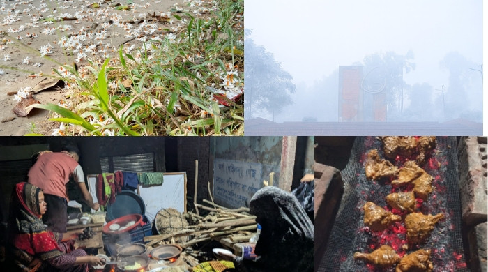 পাহাড়, কুয়াশা আর তারুণ্যের ছন্দে শীতের কুমিল্লা বিশ্ববিদ্যালয়