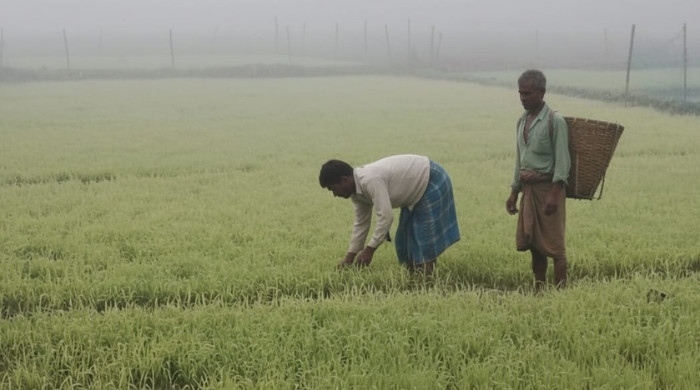 কুড়িগ্রামে বইছে মৃদু শৈত্যপ্রবাহ, তীব্র ঠান্ডায় চরম ভোগান্তিতে সাধারন মানুষ