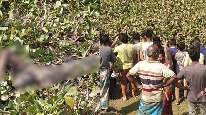 চুয়াডাঙ্গায় খালের কচুরিপানার মধ্য থেকে যুবকের লাশ উদ্ধার